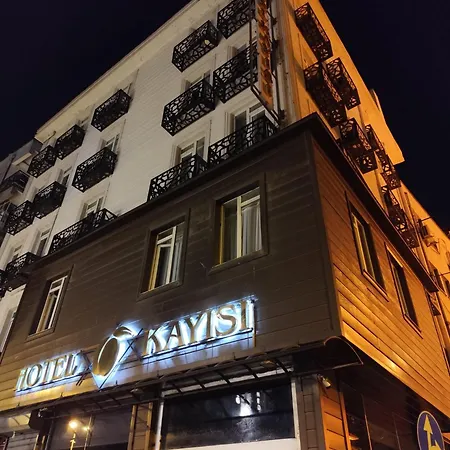 Kayisi איסטמבול