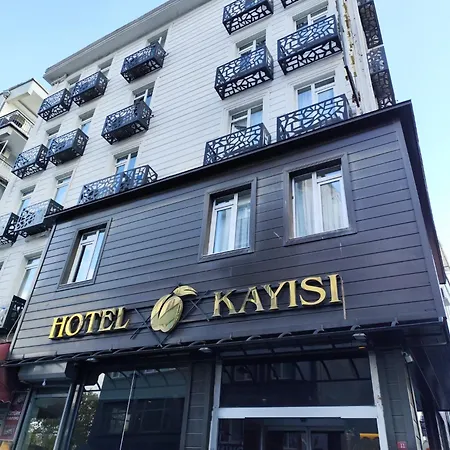 Kayisi מלון 3*