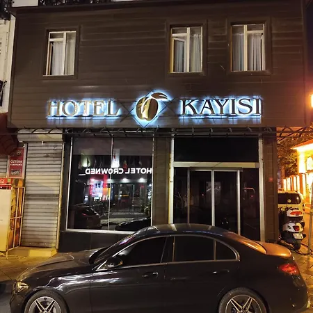 Kayisi מלון 3*
