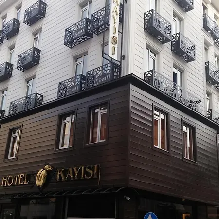 Kayisi מלון 3*