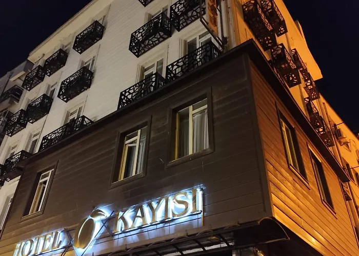 Kayisi 伊斯坦布尔