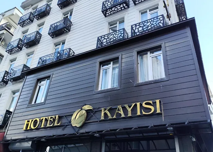 Kayisi 酒店 3*