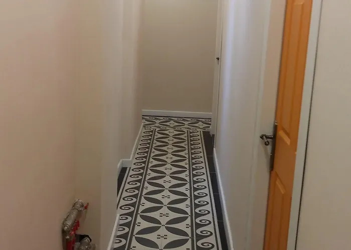 Kayisi 伊斯坦布尔